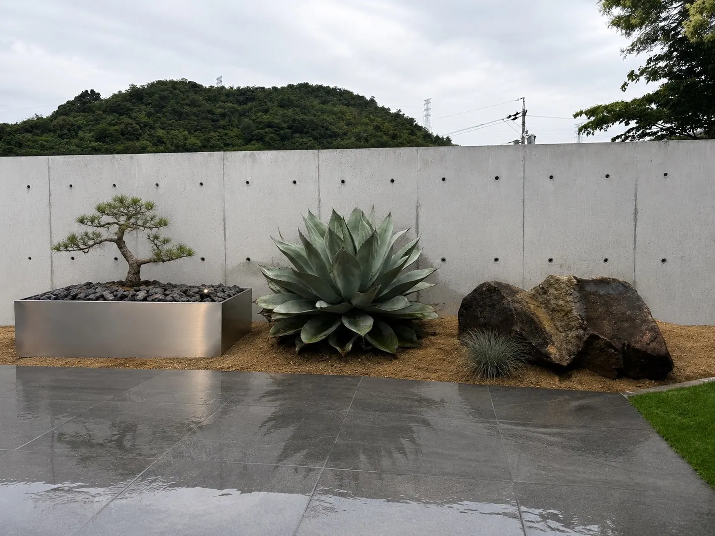 コンクリート壁とアガベの庭・昼
