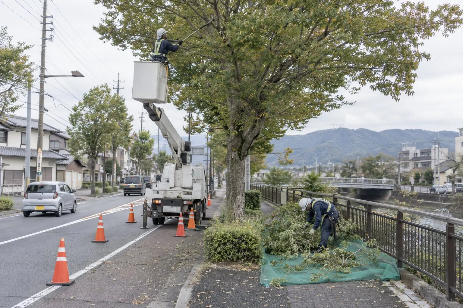高所作業車による街路樹の剪定